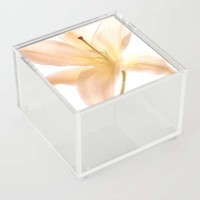 Tropical Glow Acrylic Box