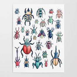 Watercolor Beetle Species Pattern Poster