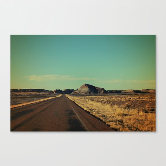 Lone Encounter Canvas Print