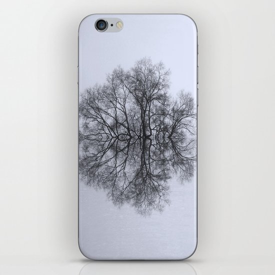 Trees of Reflection iPhone & iPod Skin