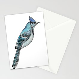 Blue Jay Stationery Cards