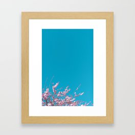 Spring Cherry Blossoms III Framed Art Print