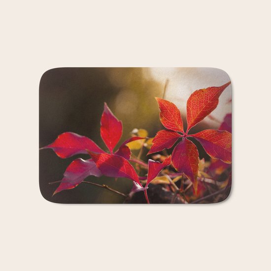 Indian Summer I Bath Mat