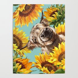 Highland Cow with Sunflowers in Blue Poster