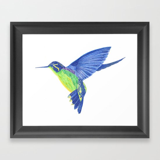 Humming Bird Framed Art Print