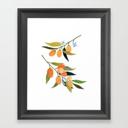 Kumquat Branch Framed Art Print