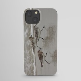 Sandpipers iPhone Case