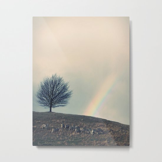 Chasing rainbows and counting sheep. Same thing really. Metal Print