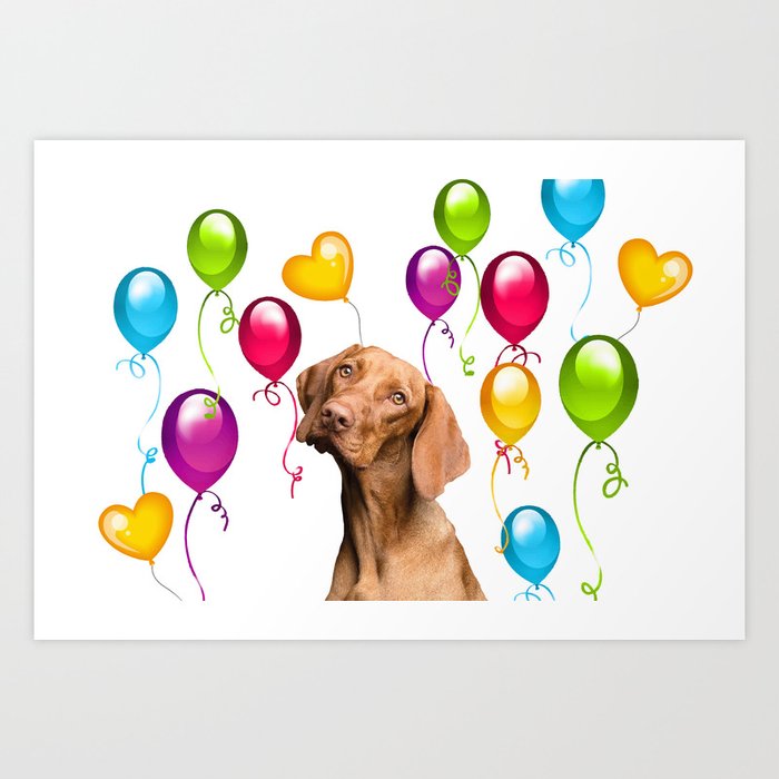 Happy Birthday Balloons Weimaraner Dog Art Print