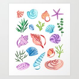Seashell Art Prints For Any Decor Style Society6