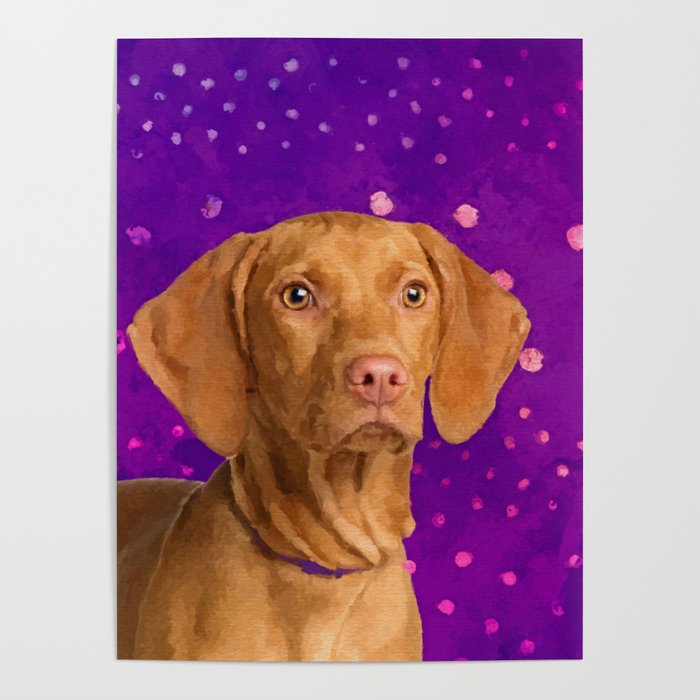 Vizsla  - Hungarian pointer puppy on purple Poster