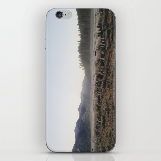 Sheep Dust iPhone Skin