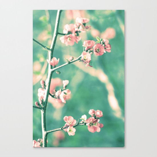 Softly Spring Love Canvas Print