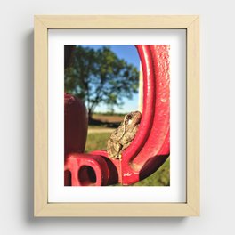 Frog on Water Hydrant Recessed Framed Print
