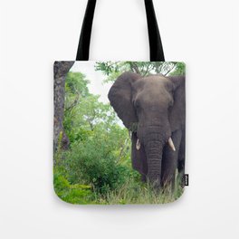 South Africa Photography - Elephant Walking Through The Forest Tote Bag
