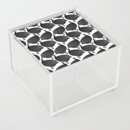 Fantastic Guinea Fowl Acrylic Box