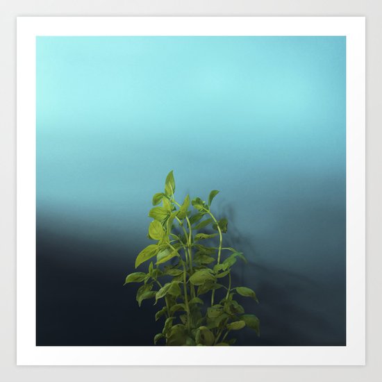 Shy and charming basil Art Print