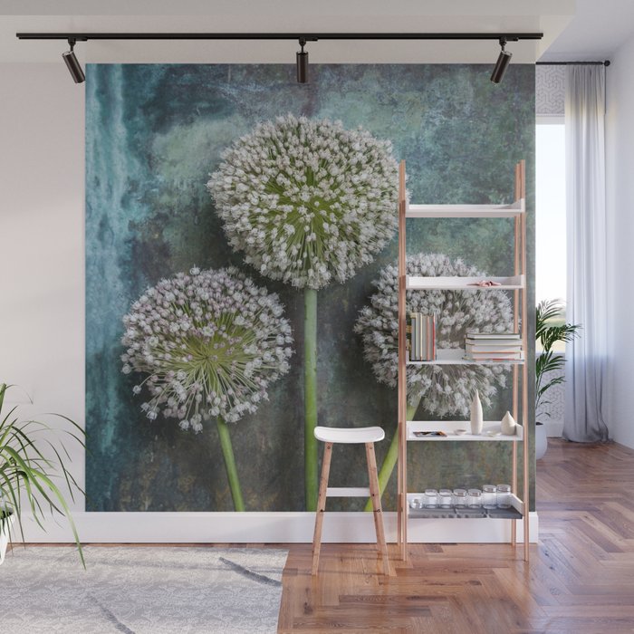 Three Allium Flowers Wall Mural