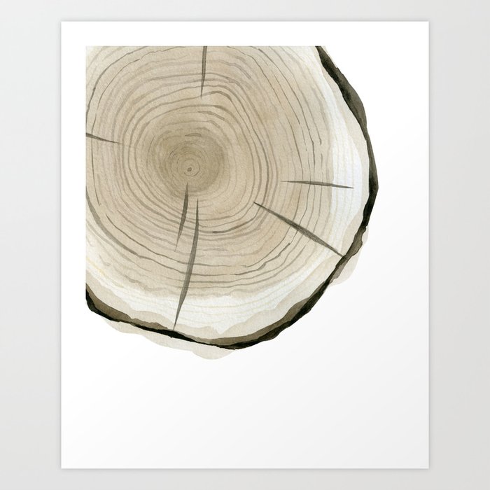 Discover the motif PART OF TREE SLICE by Art by ASolo  as a print at TOPPOSTER