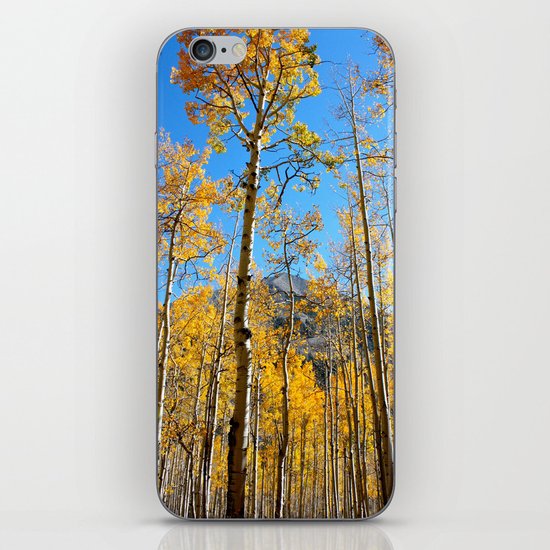 Enchiladas in the Trees 2 iPhone & iPod Skin