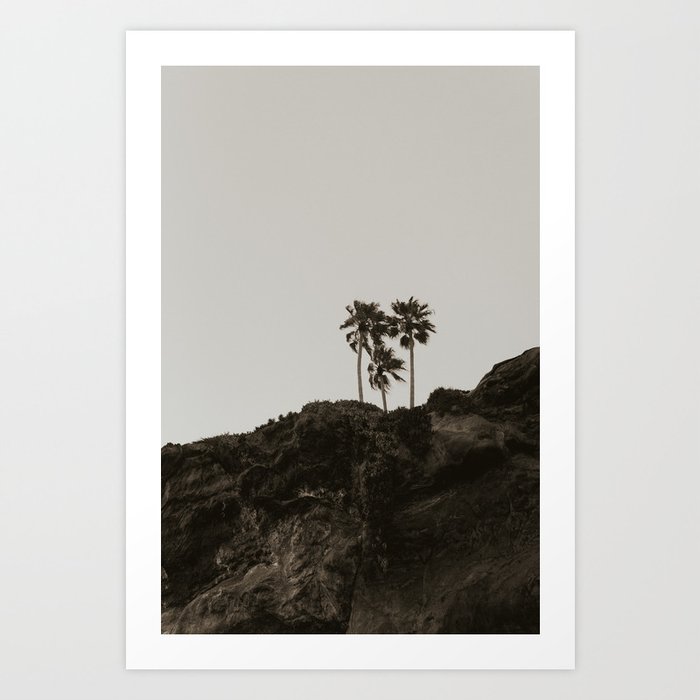 Laguna Palms  v1 monochrome Art Print