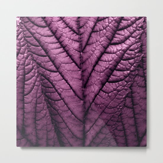 purple leaf structure XVI Metal Print