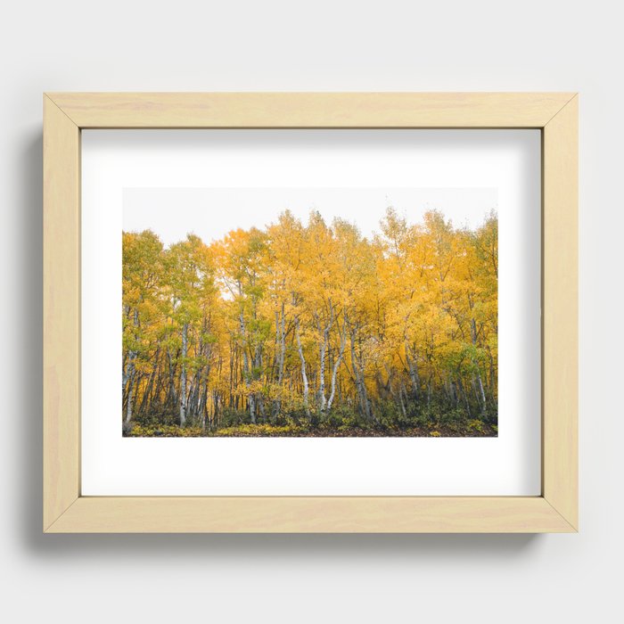 Fall Color in the Sierras Recessed Framed Print