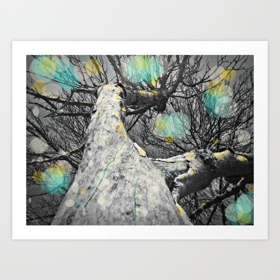 Still looking for the sun Art Print