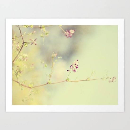 soft scent of spring Art Print