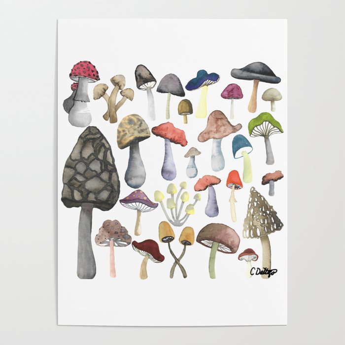 Mushrooms Galore Poster by Christina Daltoso Studio | Society6