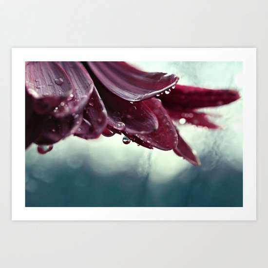 the morning dew Art Print