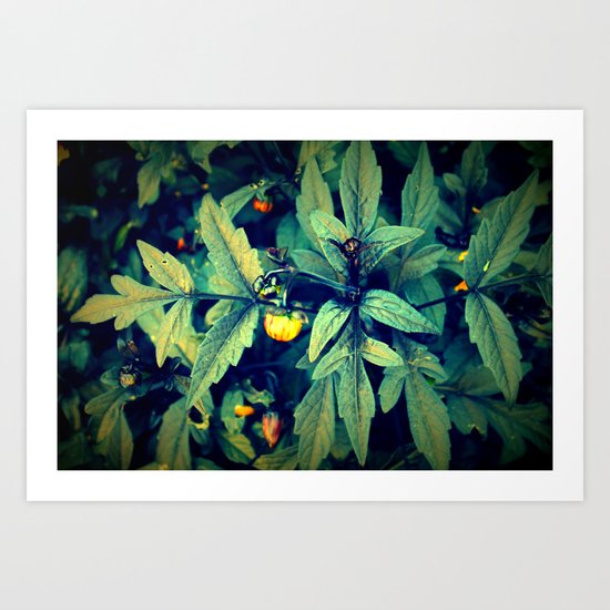 Flower Bud among leaves Art Print
