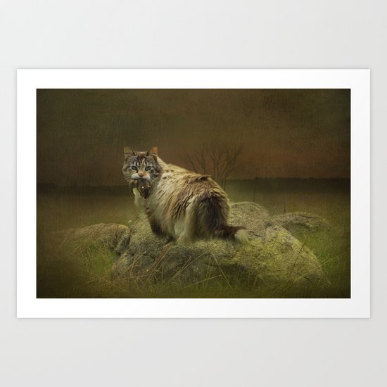 A Game of Cat and Mouse Art Print