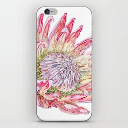 Watercolour King Protea iPhone Skin