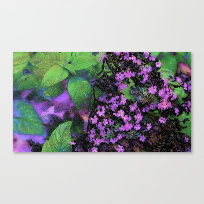 Purple Flowers by Lika Ramati Canvas Print
