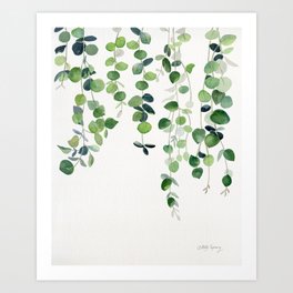 Eucalyptus Watercolor 2  Art Print