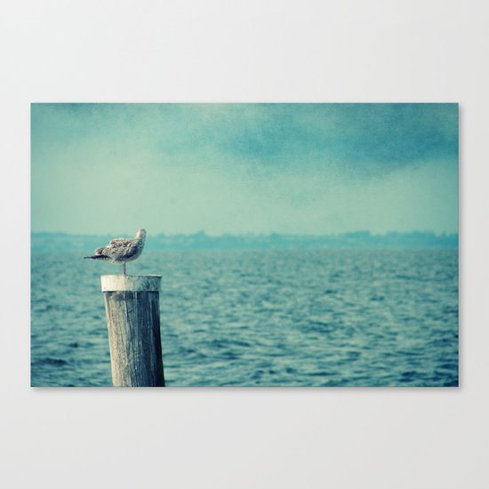 sea life Canvas Print