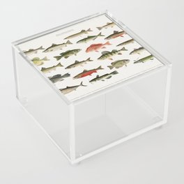 Illustrated Denton Fish Chart of Fishes of North America Acrylic Box