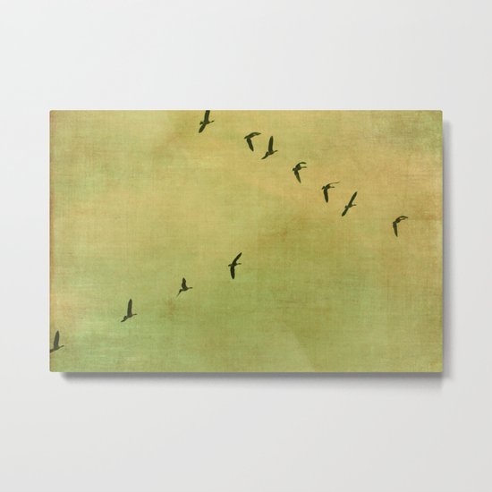 FLYING HIGH :) Metal Print
