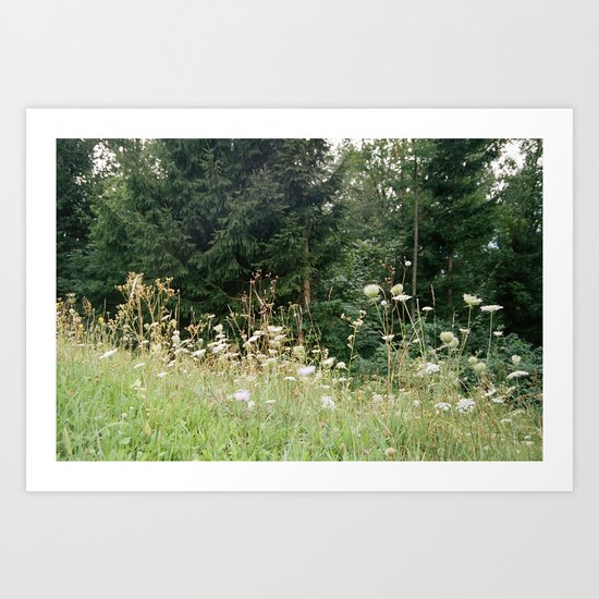 Wildflowers 1 Art Print