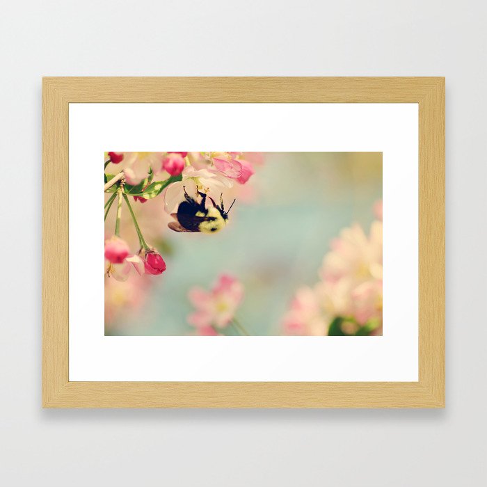 Bee on Blooms Framed Art Print