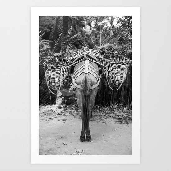 Donkey's Behind Art Print