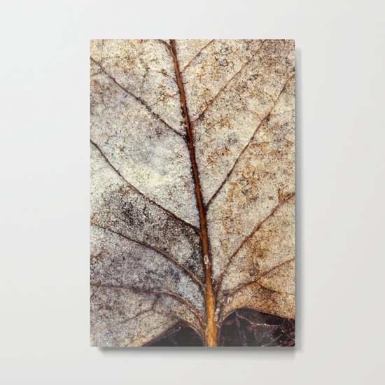 nature's abstract Metal Print