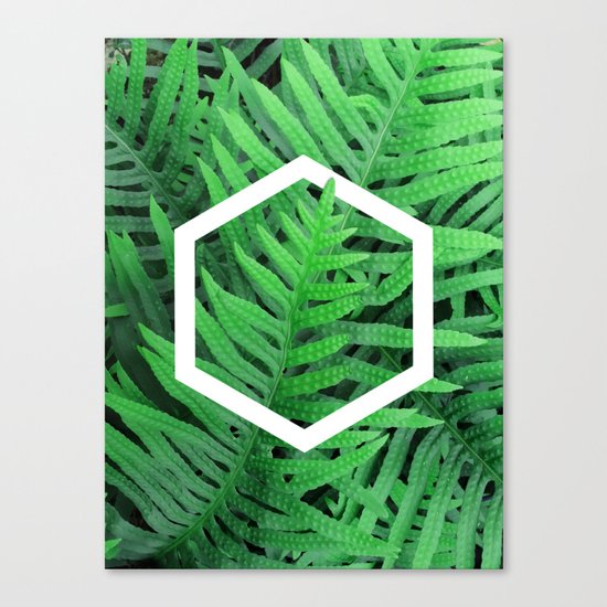 Exagon into the ferns Canvas Print