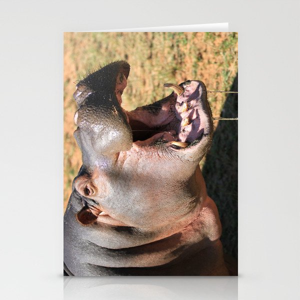 Hungry Hippo Stationery Cards
