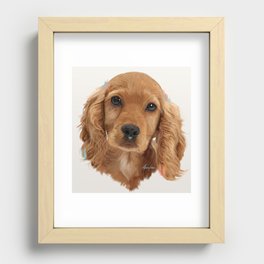 Golden Cocker Spaniel Pup Recessed Framed Print