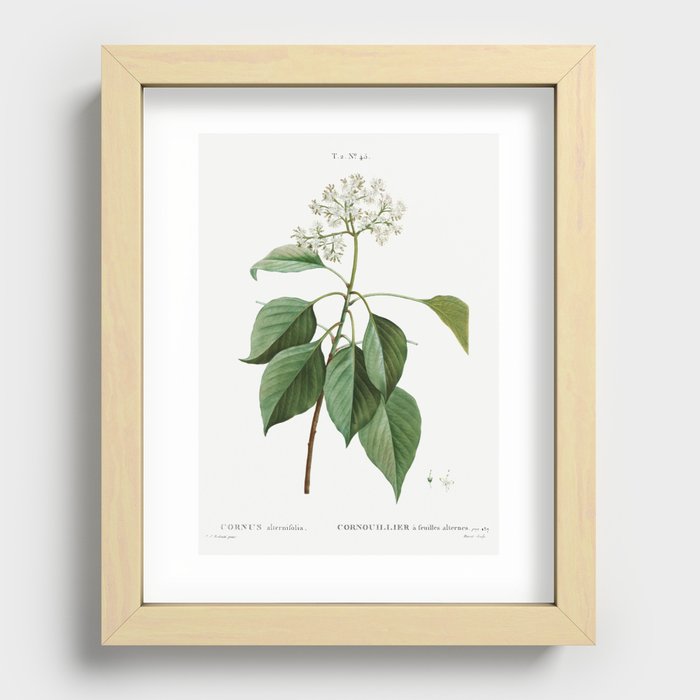 Recessed Framed Print