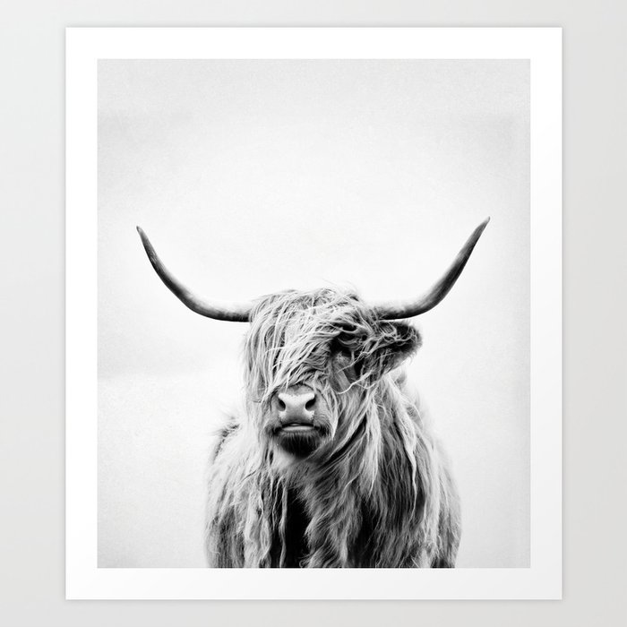 portrait of a highland cow - (vertical) Art Print