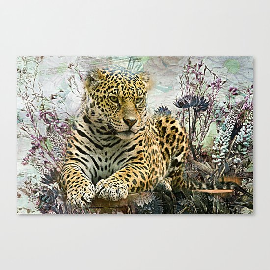 Lingering Leopard Canvas Print