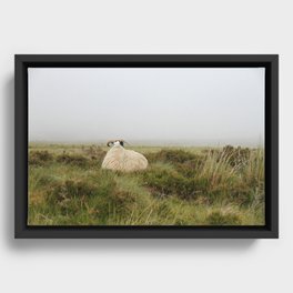This is Scotland Framed Canvas